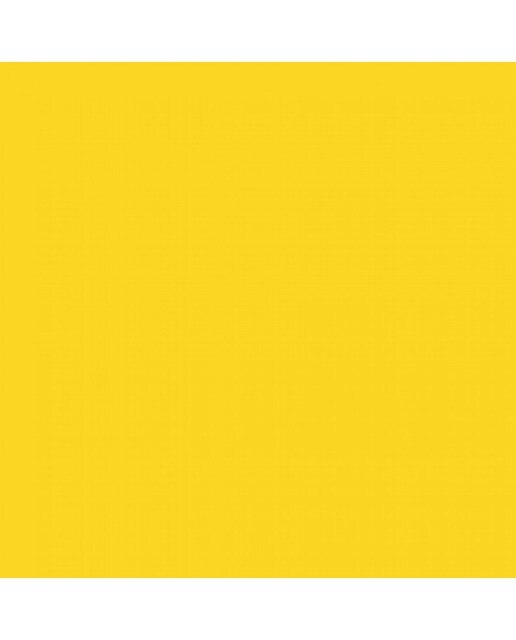 Pigmento Concentrado Cores Misturáveis Tubo 20 ml - Amarelo 2