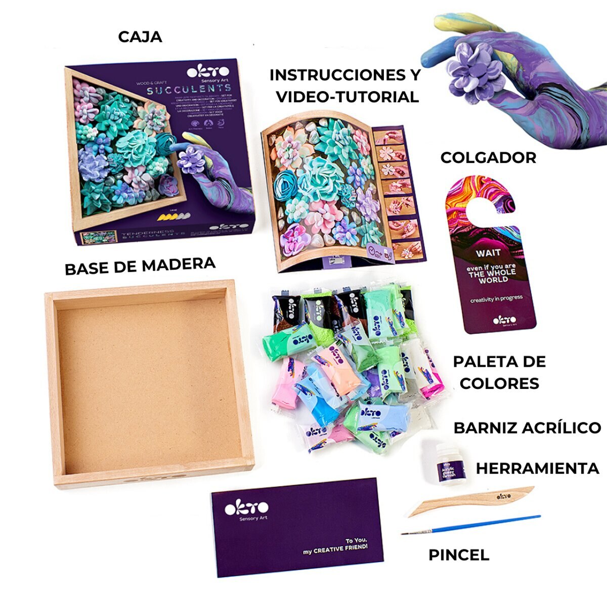 Conjunto de Criatividade Caixa de Madeira e Suculentas, Okto 3