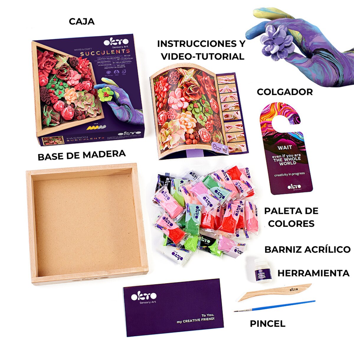Conjunto de Criatividade Caixa de Madeira e Suculenta, Okto 3