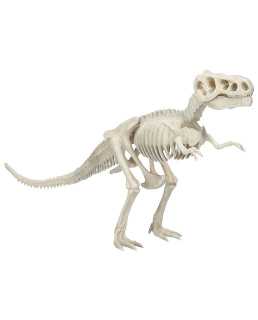 Conjunto de Escavação Dino World 5