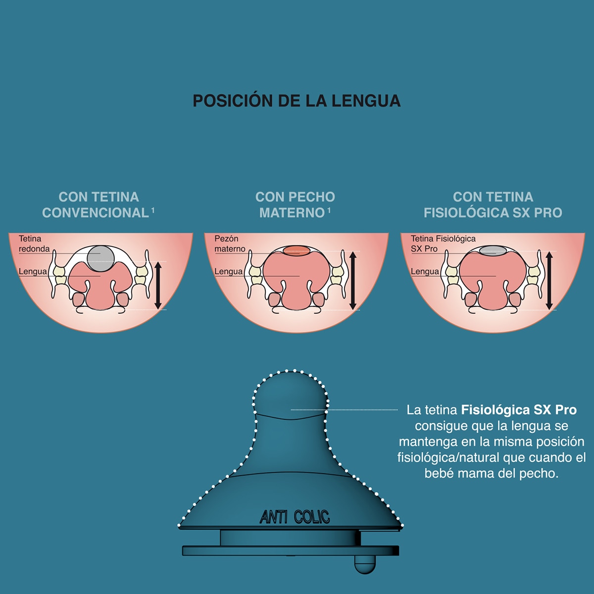 Tetina Fisiológica SX Pro Pack 2 Unidades 5