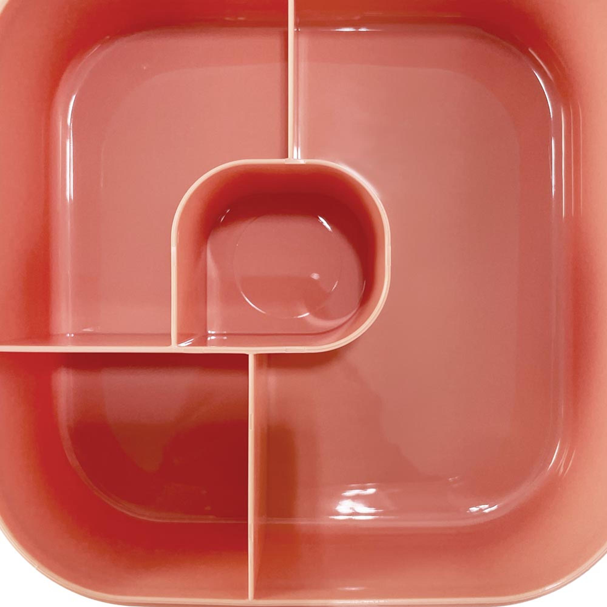 Recipiente Porta-Alimentos com Separadores Salmão-3