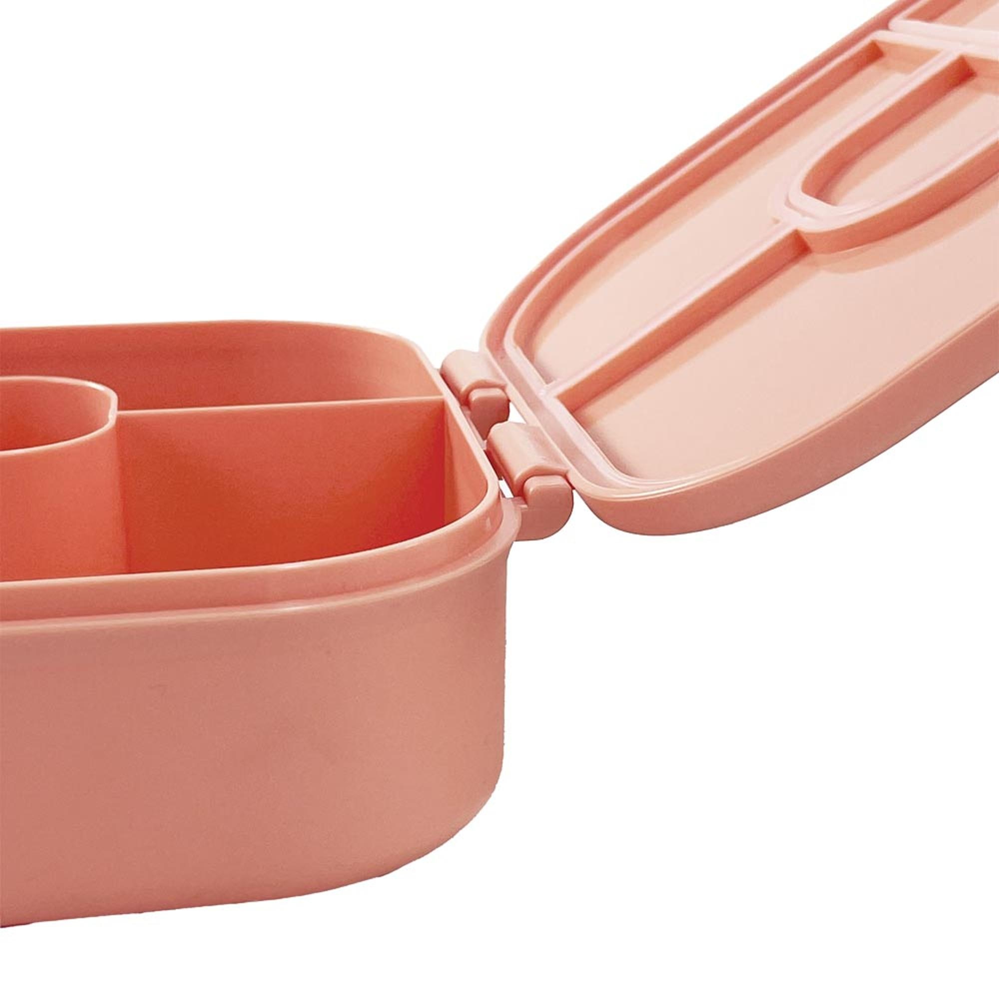 Recipiente Porta-Alimentos com Separadores Salmão-4