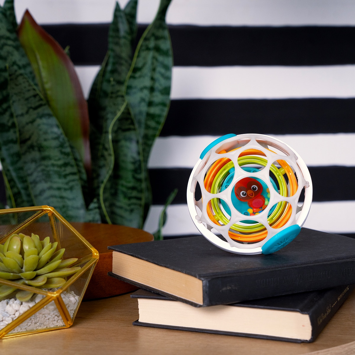 Roca Bola Sensorial Oball Grip& Spin Multicolor-4