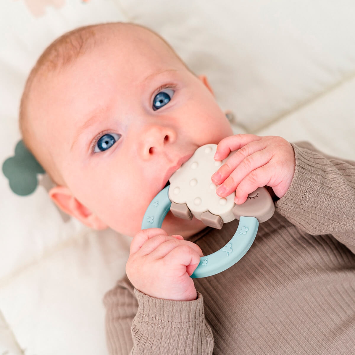 Mordedor de Silicone Tiny Farm Azul-celeste-3