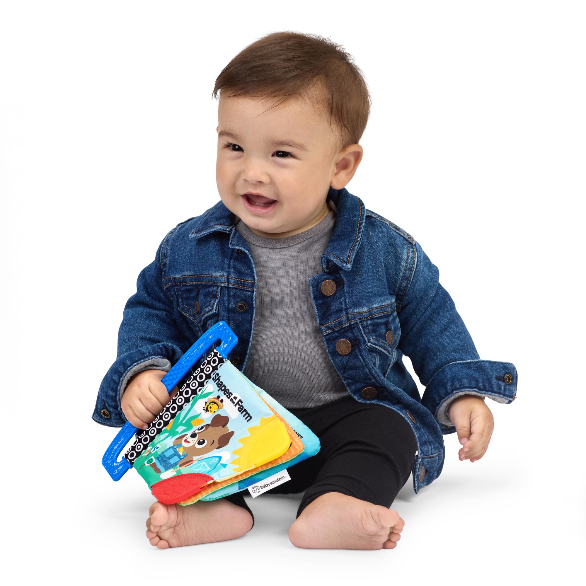 Mordedor Baby Einstein Shapes at the Farm™ Multicolor-2