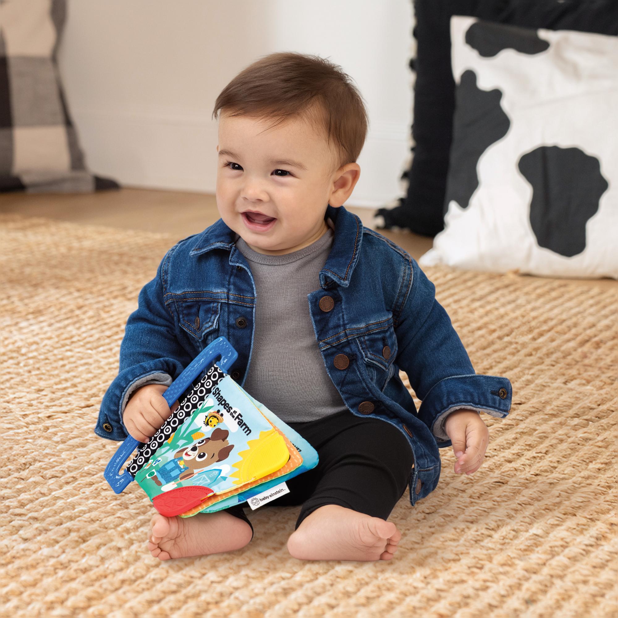 Mordedor Baby Einstein Shapes at the Farm™ Multicolor-14
