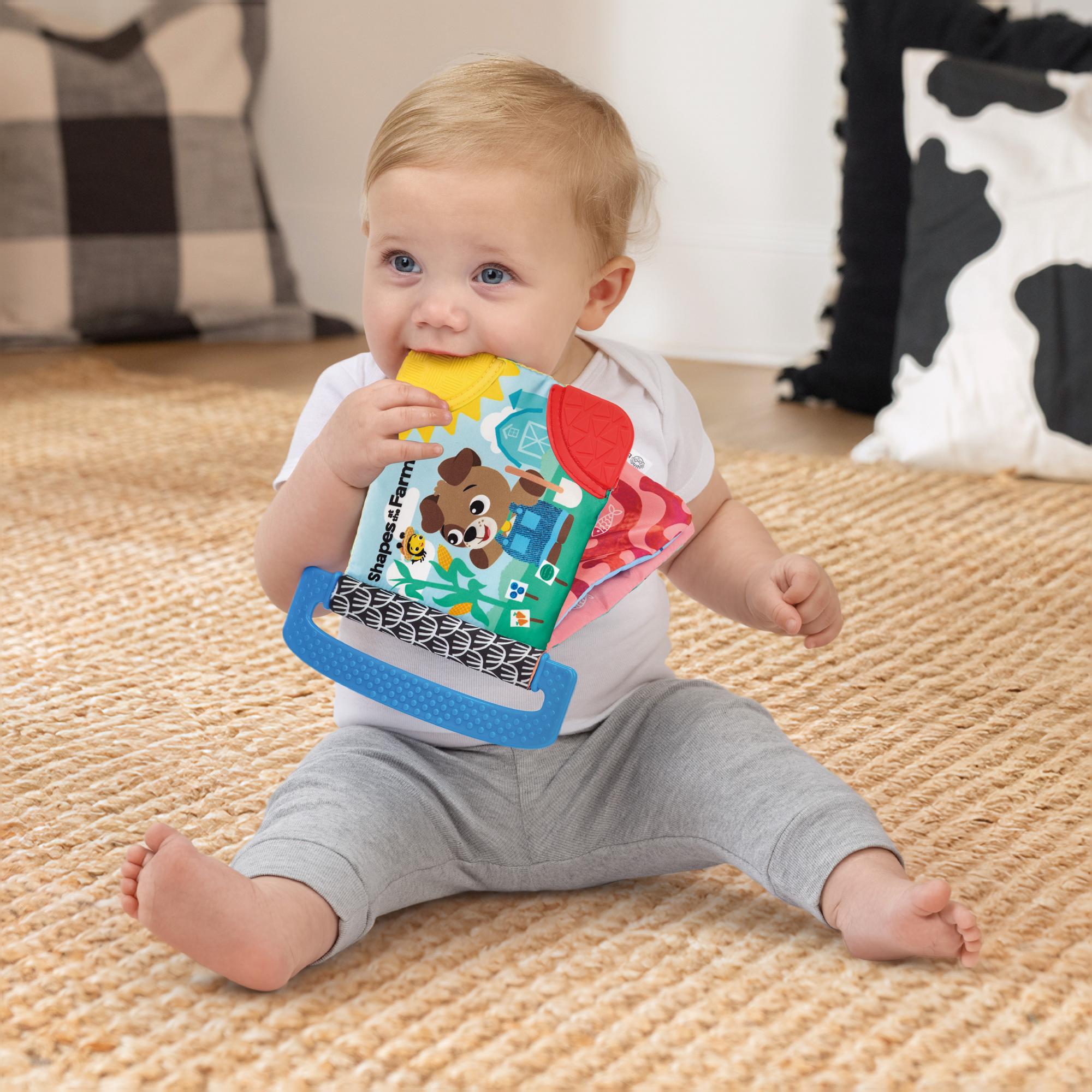 Mordedor Baby Einstein Shapes at the Farm™ Multicolor-16