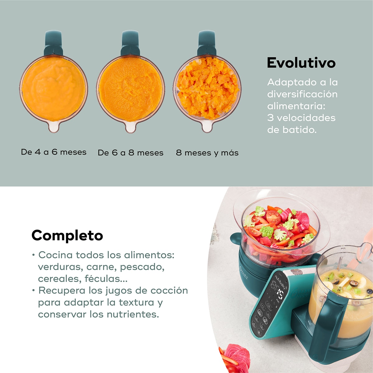 Robô de Cozinha Nutribaby (+) Verde-escuro-6