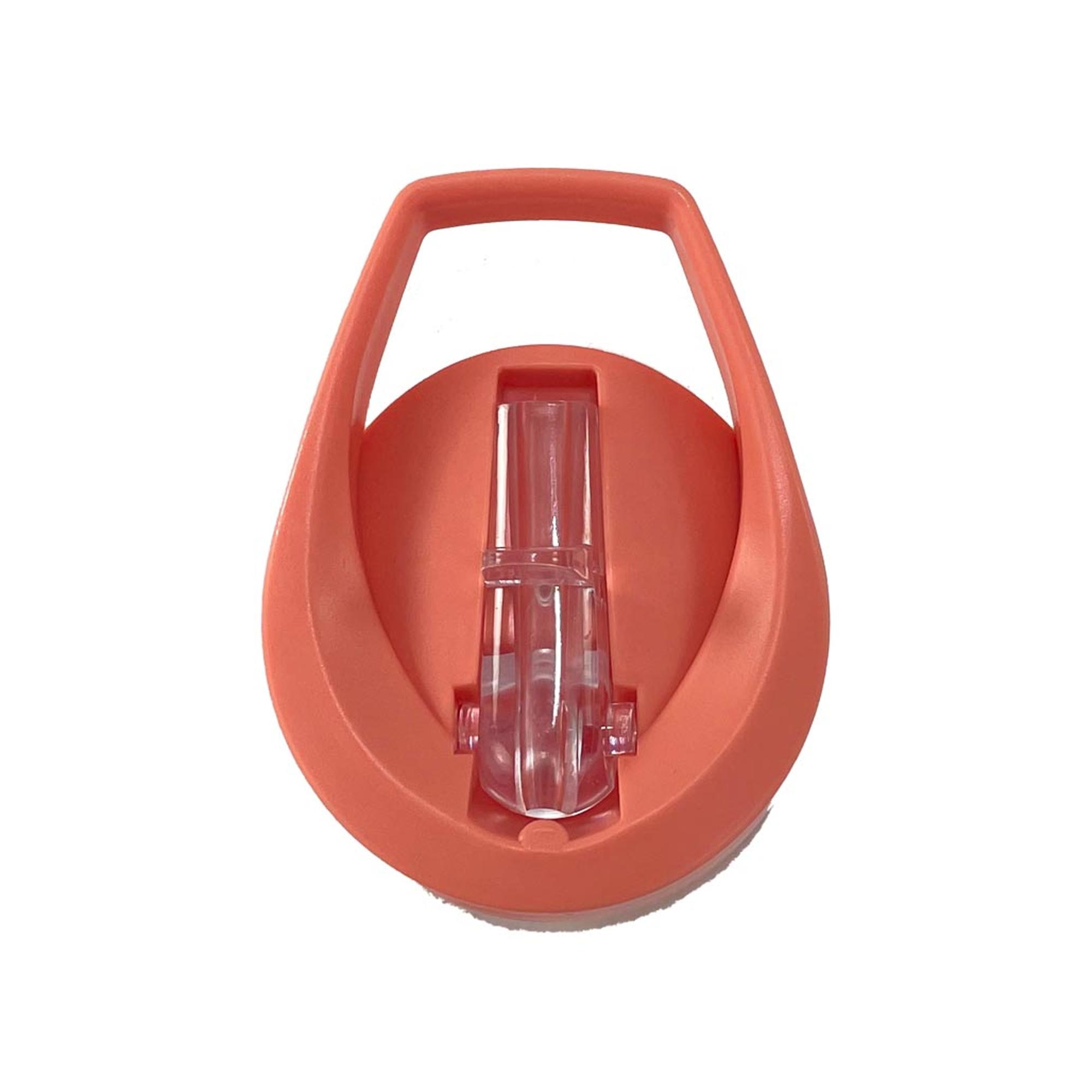 Garrafa Infantil Tritan com Palhinha Rígida - 450 ml Salmão-3