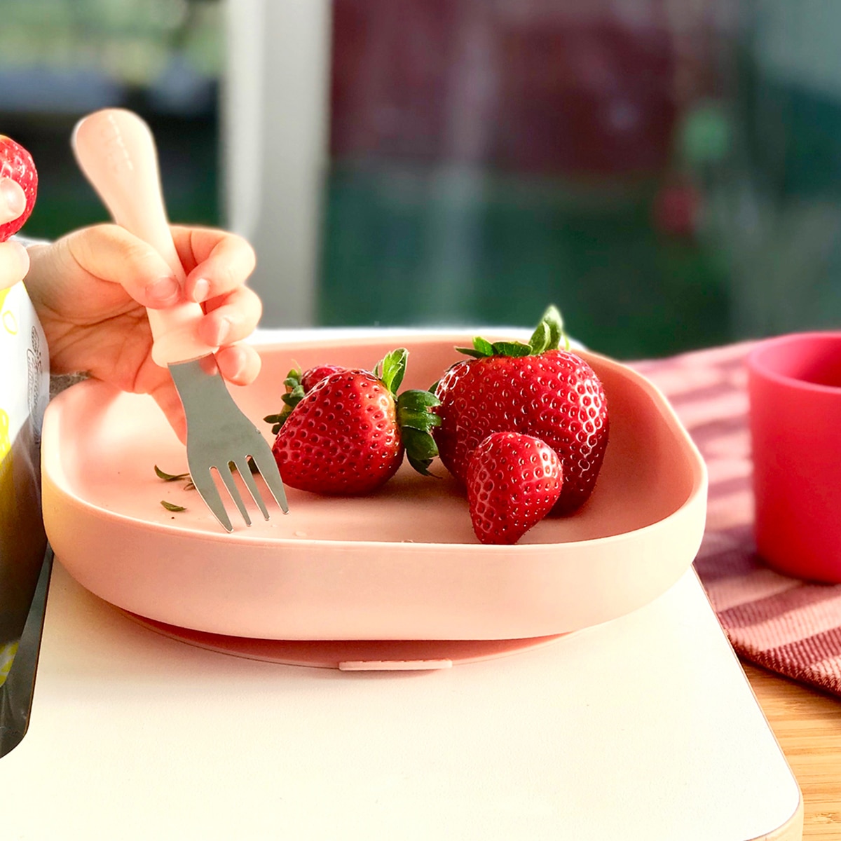 Prato Silicone com Ventosa Rosa-3