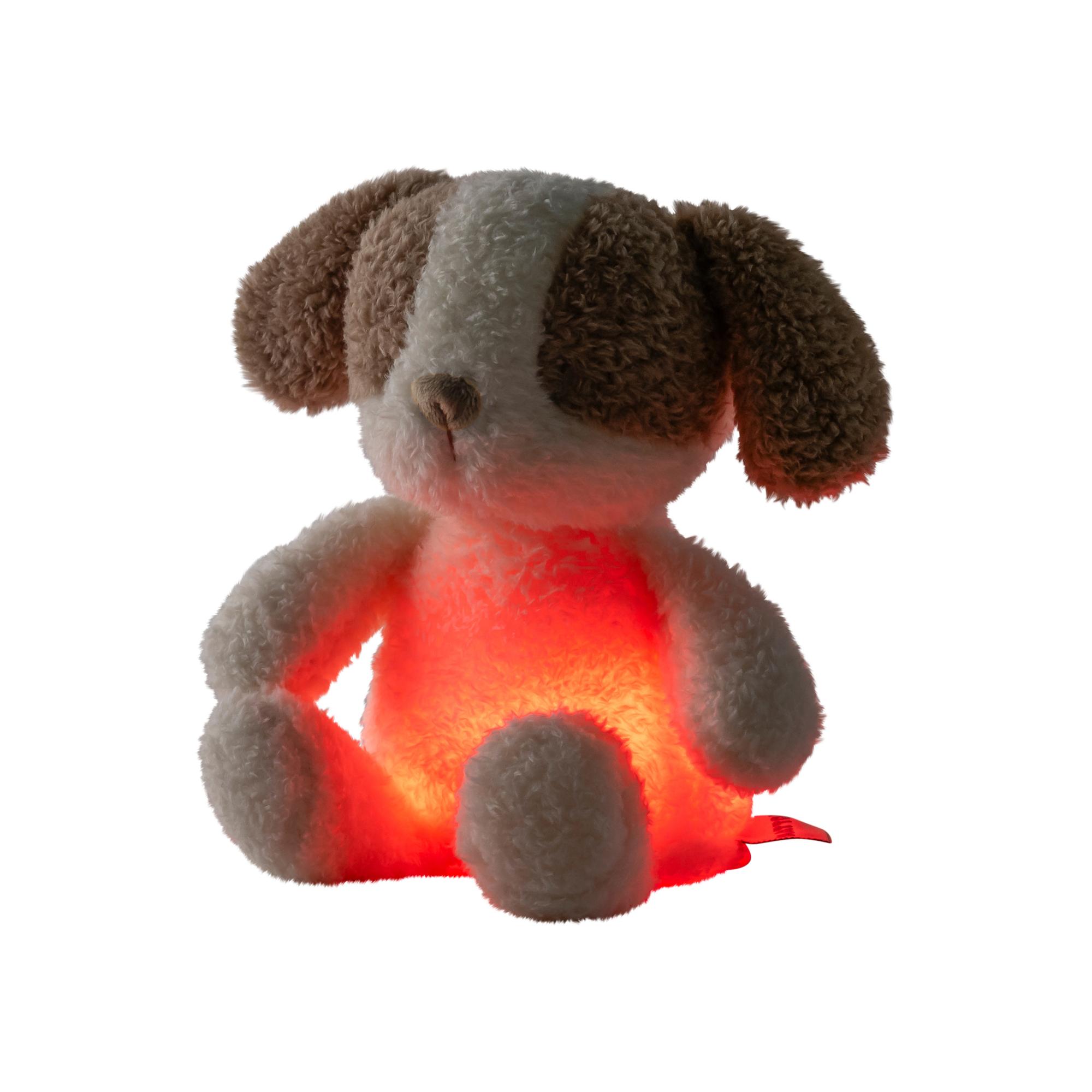 Luz quitamiedo peluche Nattou colección Teddy - Arena Arena-2