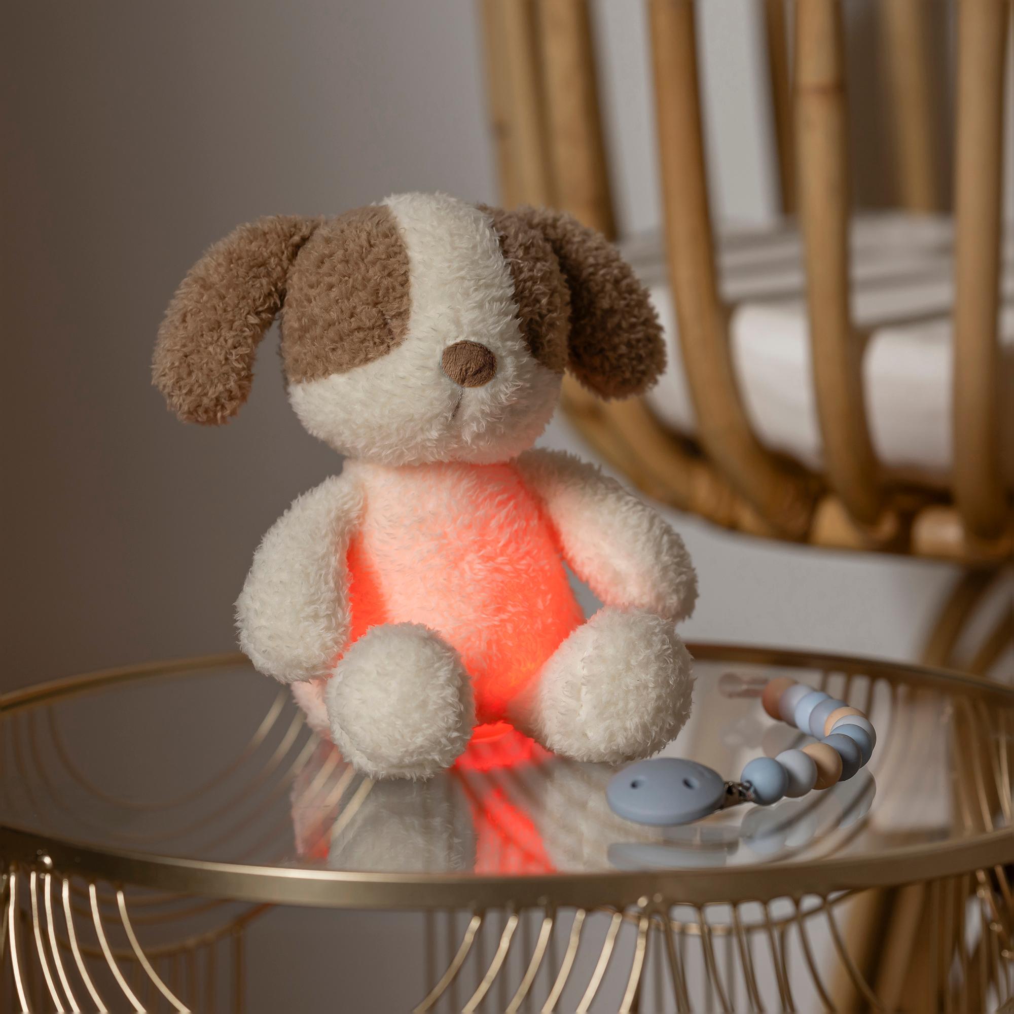Luz quitamiedo peluche Nattou colección Teddy - Arena Arena-4