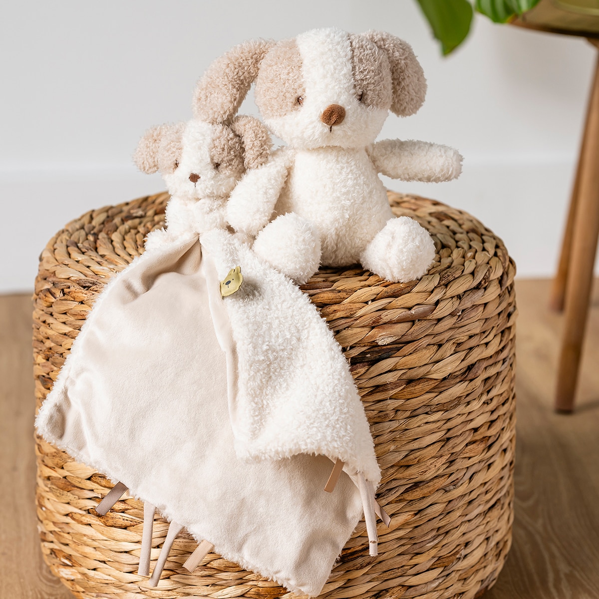 Peluche perrito Nattou blandito 24cm colección Teddy Crudo-3