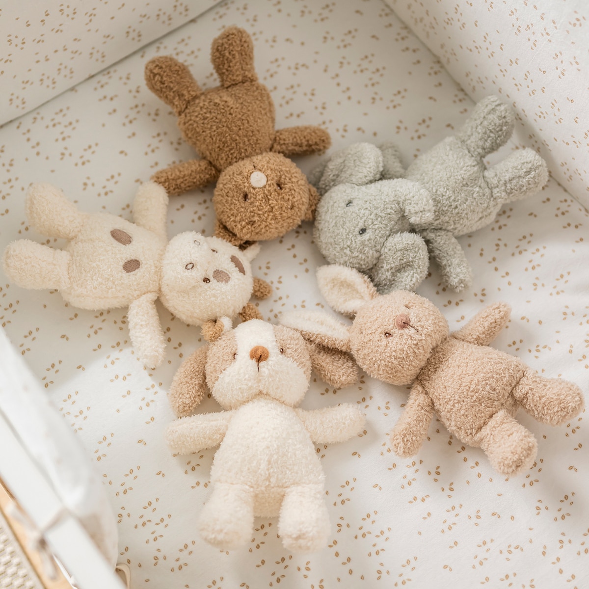 Peluche perrito Nattou blandito 24cm colección Teddy Crudo-5