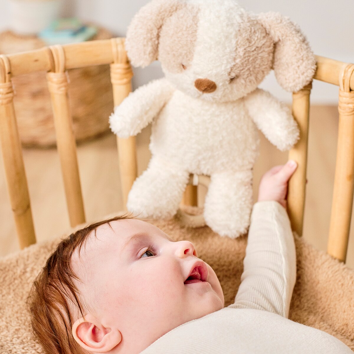 Peluche musical Nattou perrito bebe 24cm colección Teddy Crudo-4