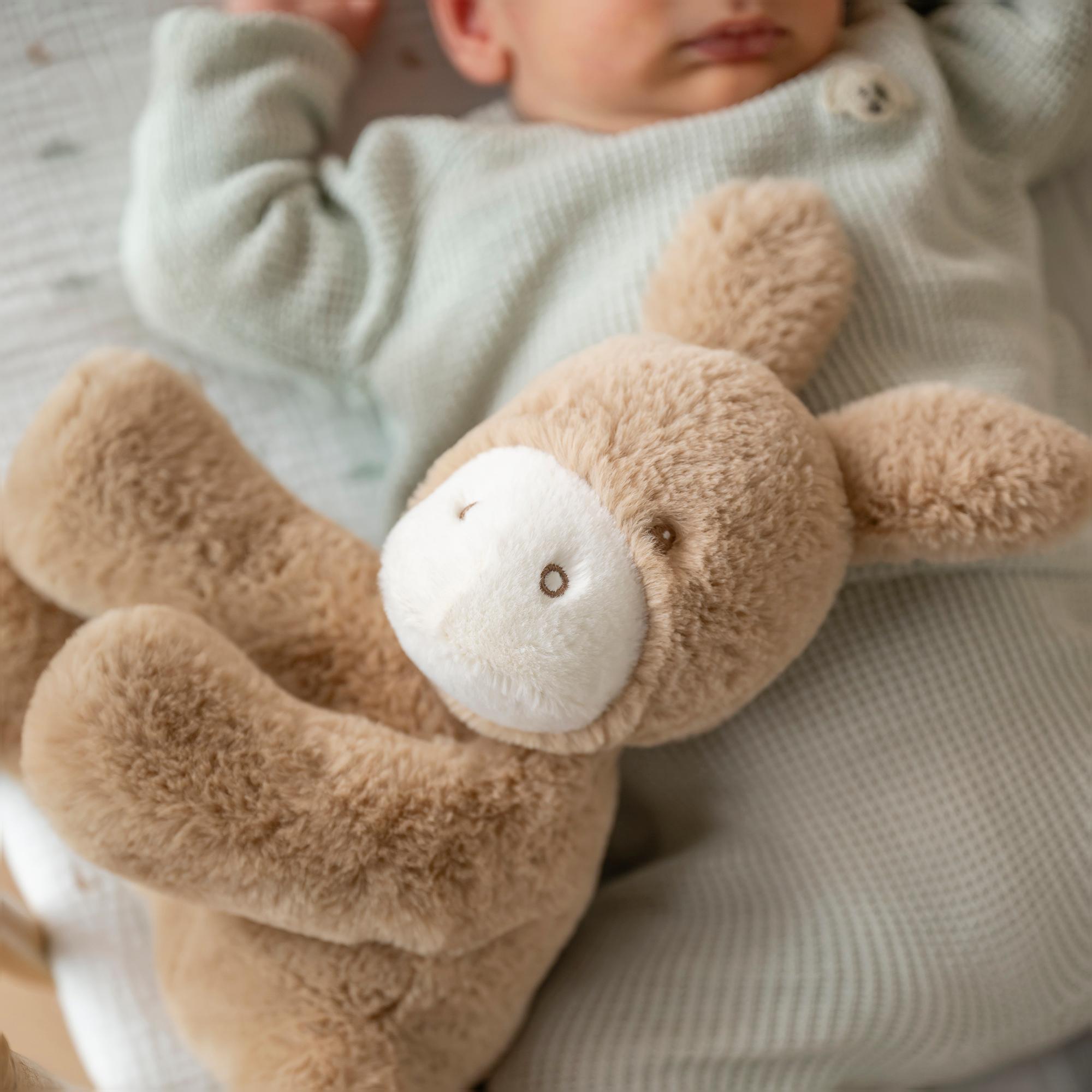 Imagen 4 de Peluche musical burrito Nattou colección LouLou Caramelo
