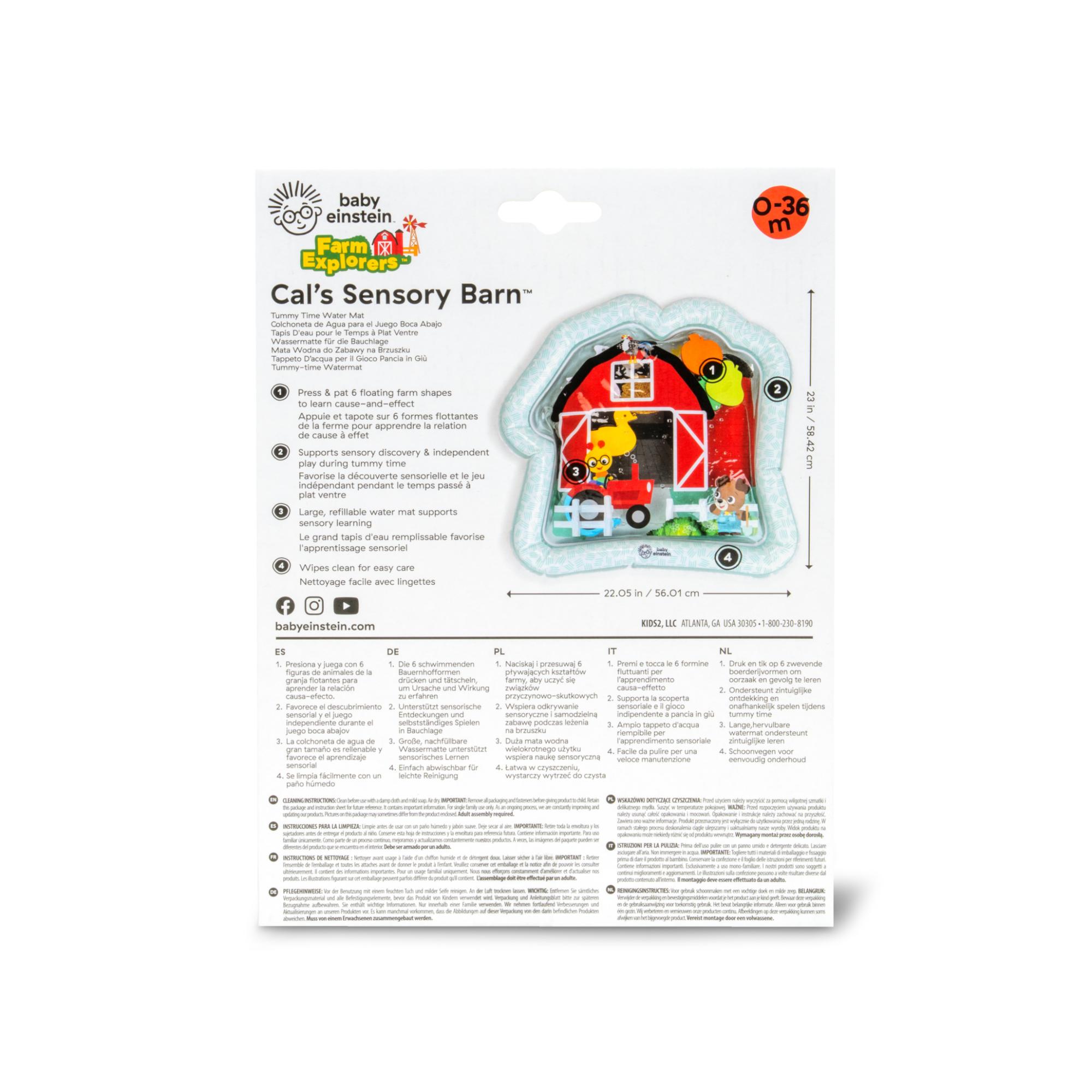Tapete de atividades aquáticas Baby Einstein Cal's Sensory Barn Multicolor-4