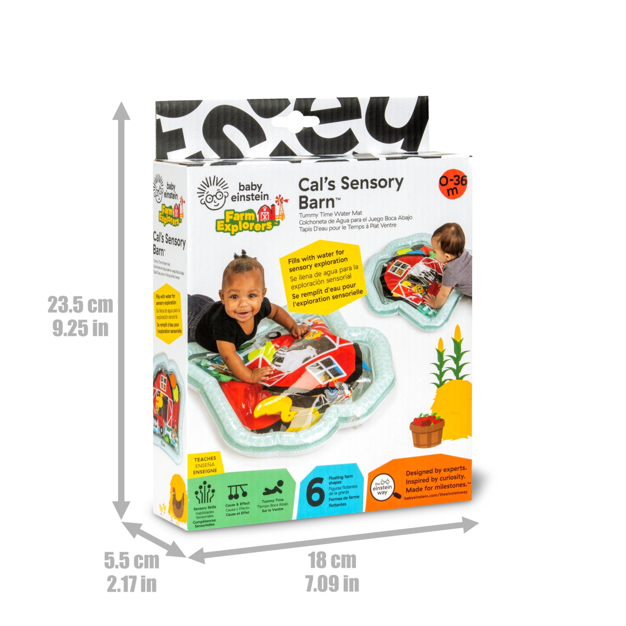 Tapete de atividades aquáticas Baby Einstein Cal's Sensory Barn Multicolor-5
