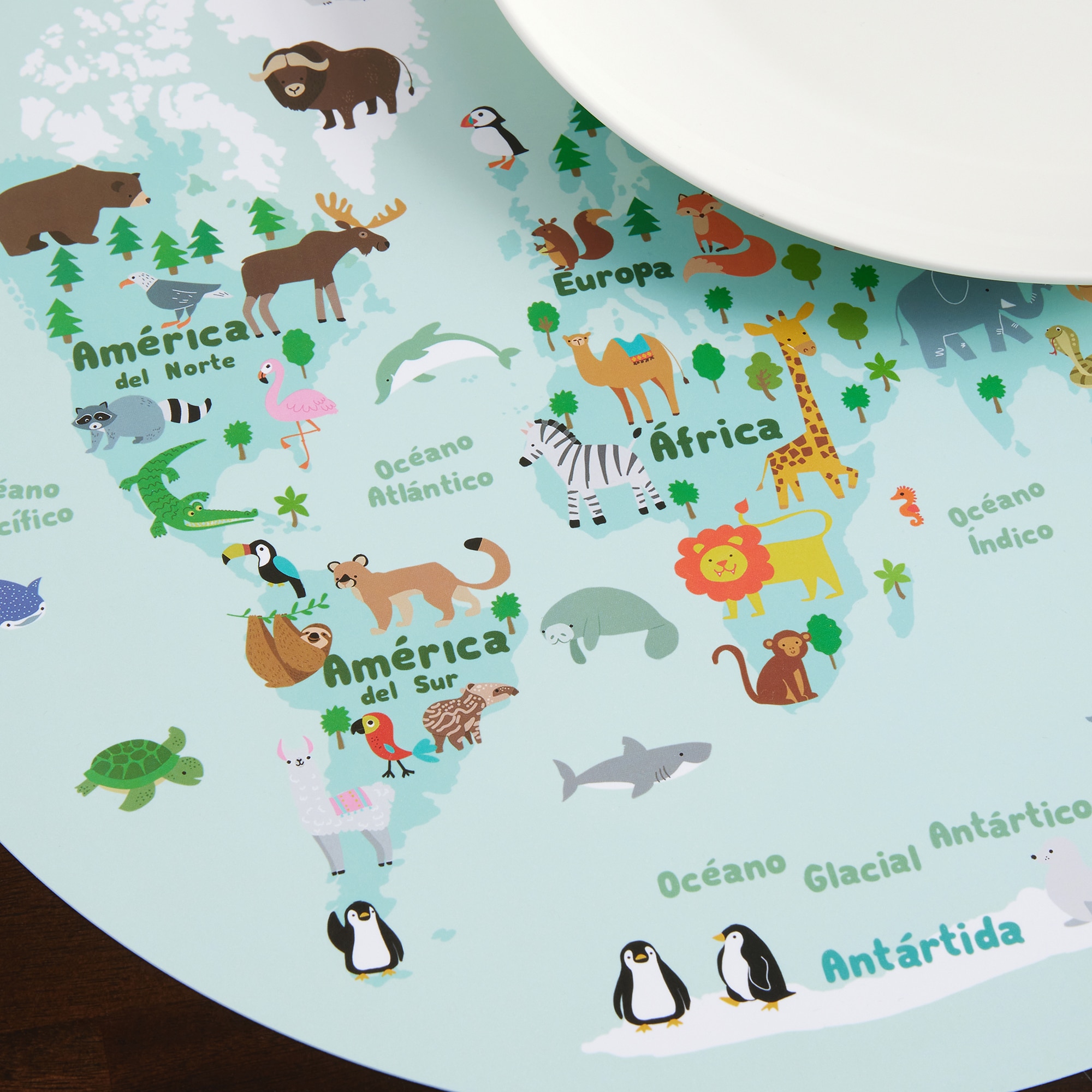 Individual Infantil Mapa Multicolor-2