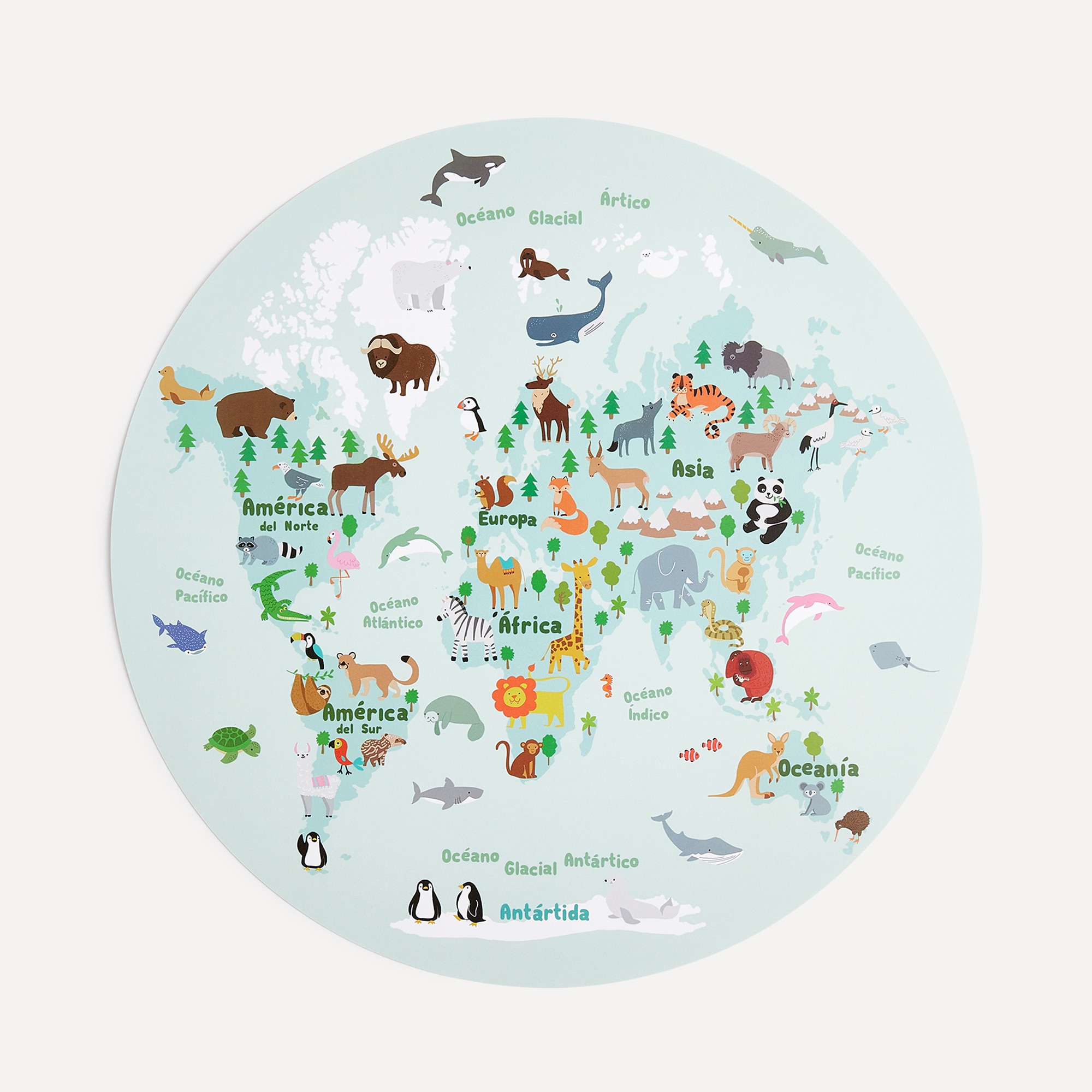 Individual Infantil Mapa Multicolor-4