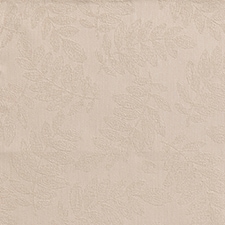 Beige Beige