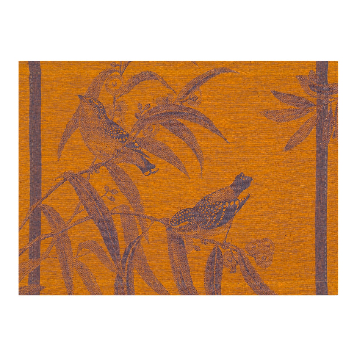 Imagem 0 de Individual Voliere