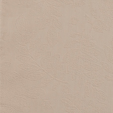 Beige Beige