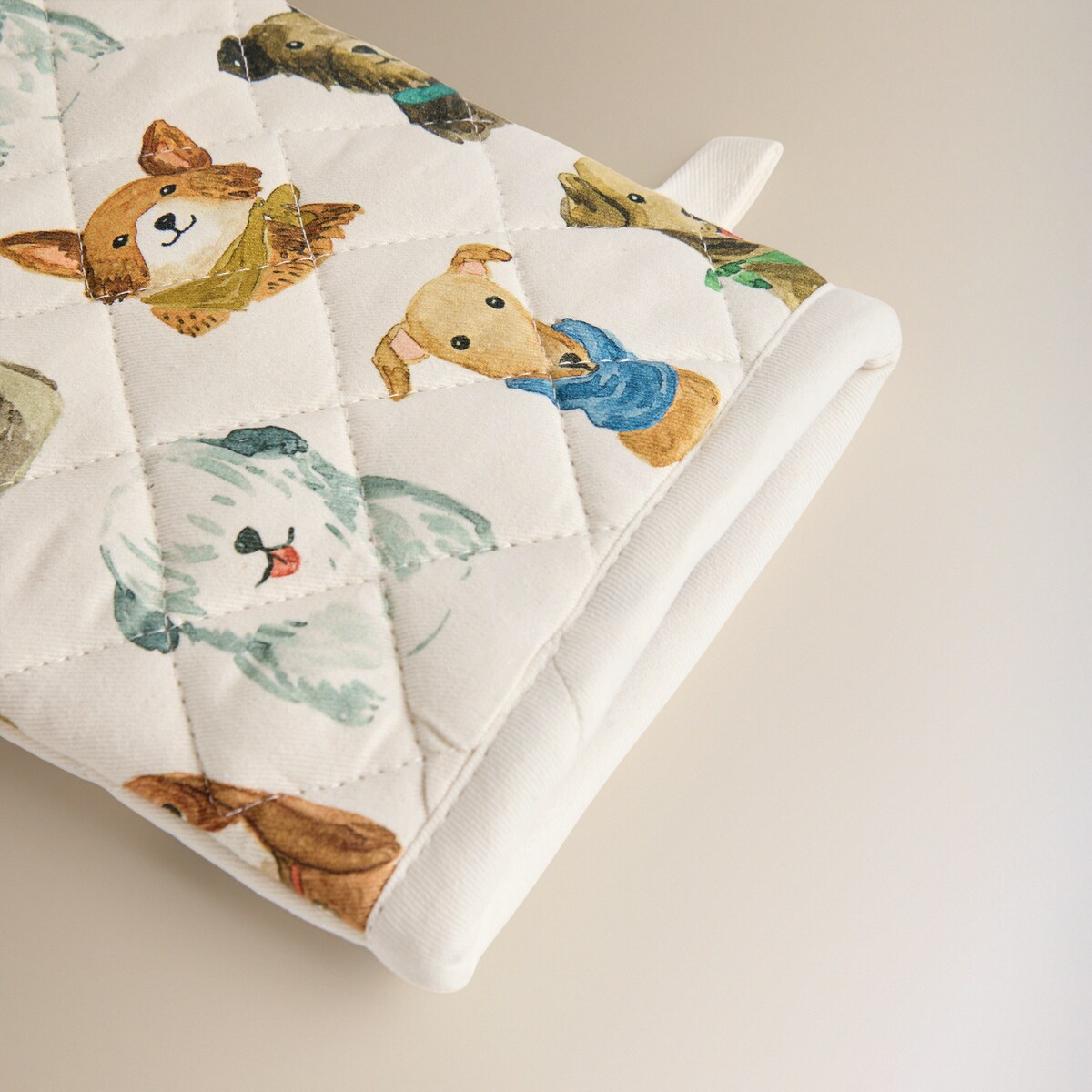 Conjunto de Luva e Pega Doggy Multicolor-2