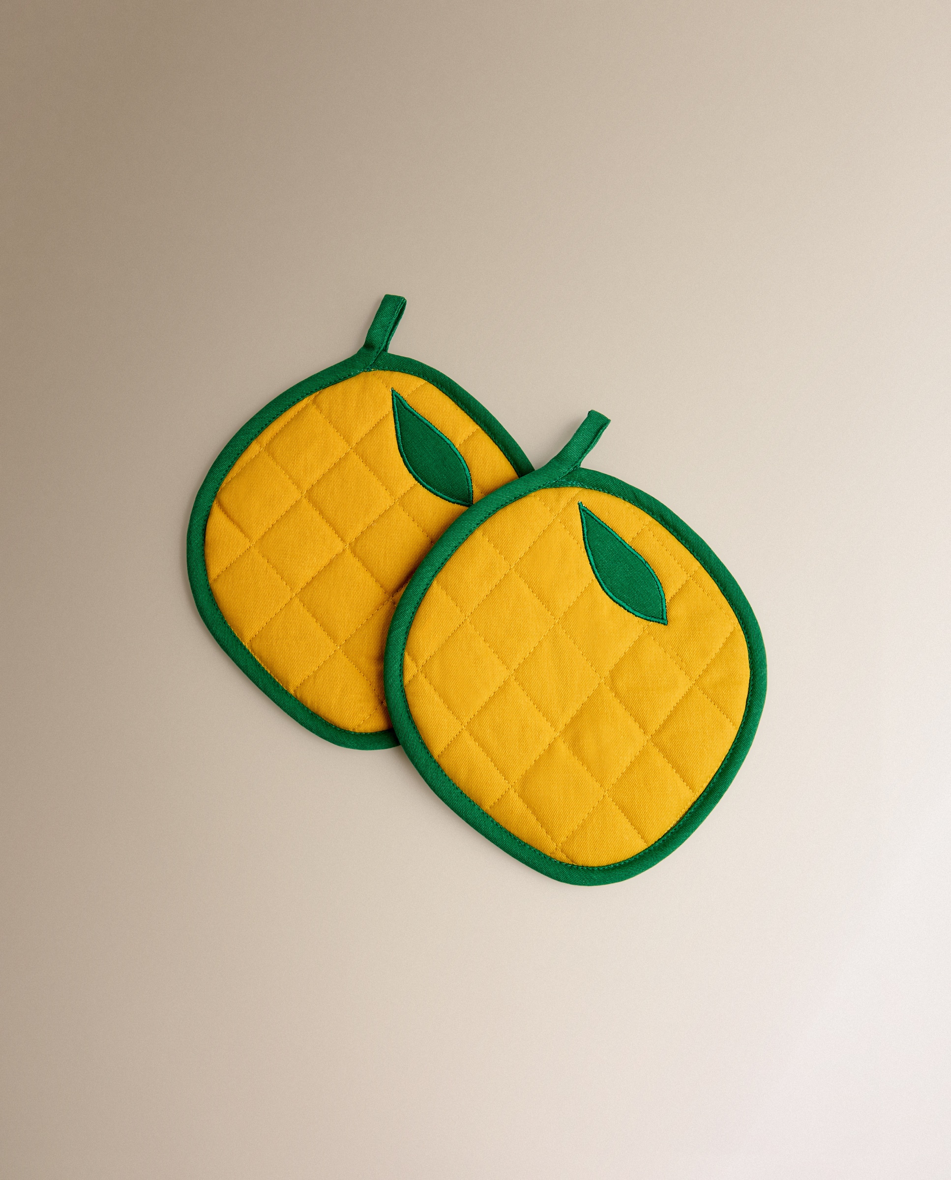 Imagem 0 de Conjunto de 2 Pegas Limões