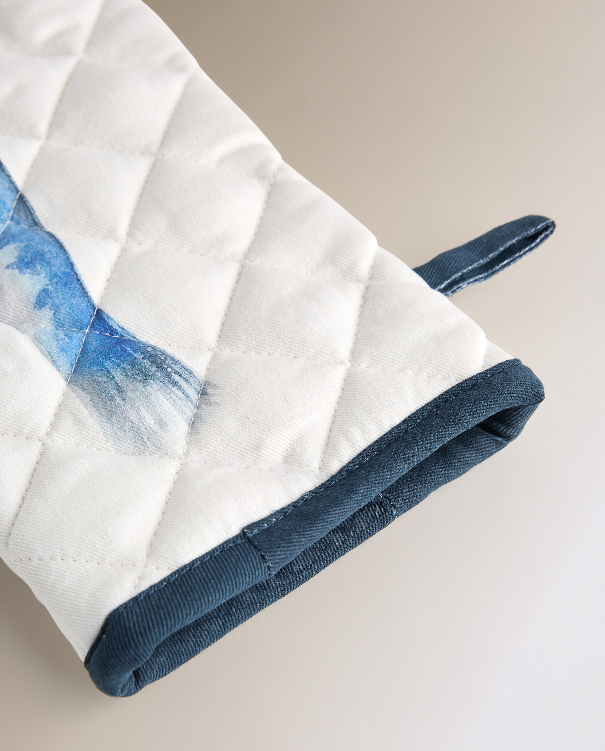 Conjunto de Luva e Pega Sardinhas Azul-2