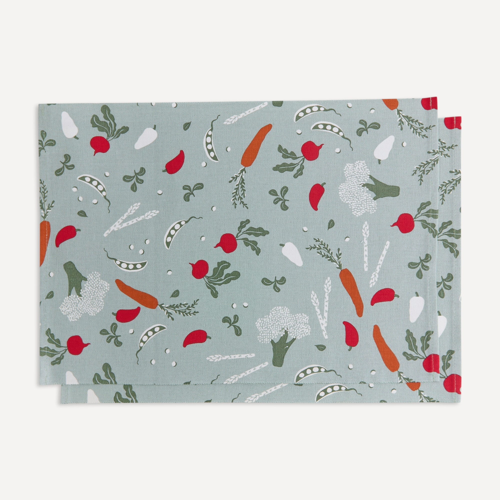 Conjunto de 2 Individuais Vegetais Multicolor-3