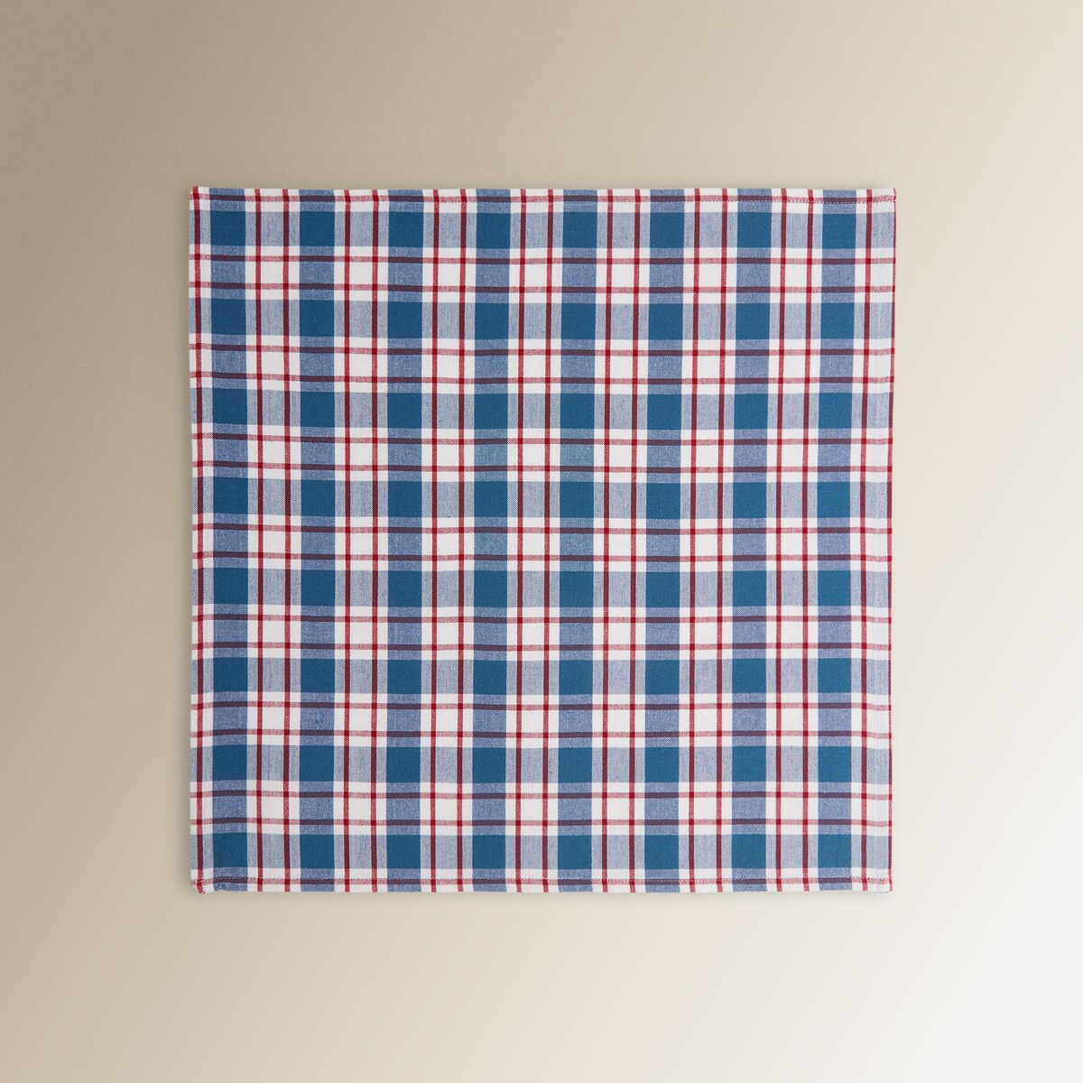 Conjunto de 2 Guardanapos de Algodão Hens Azul-2