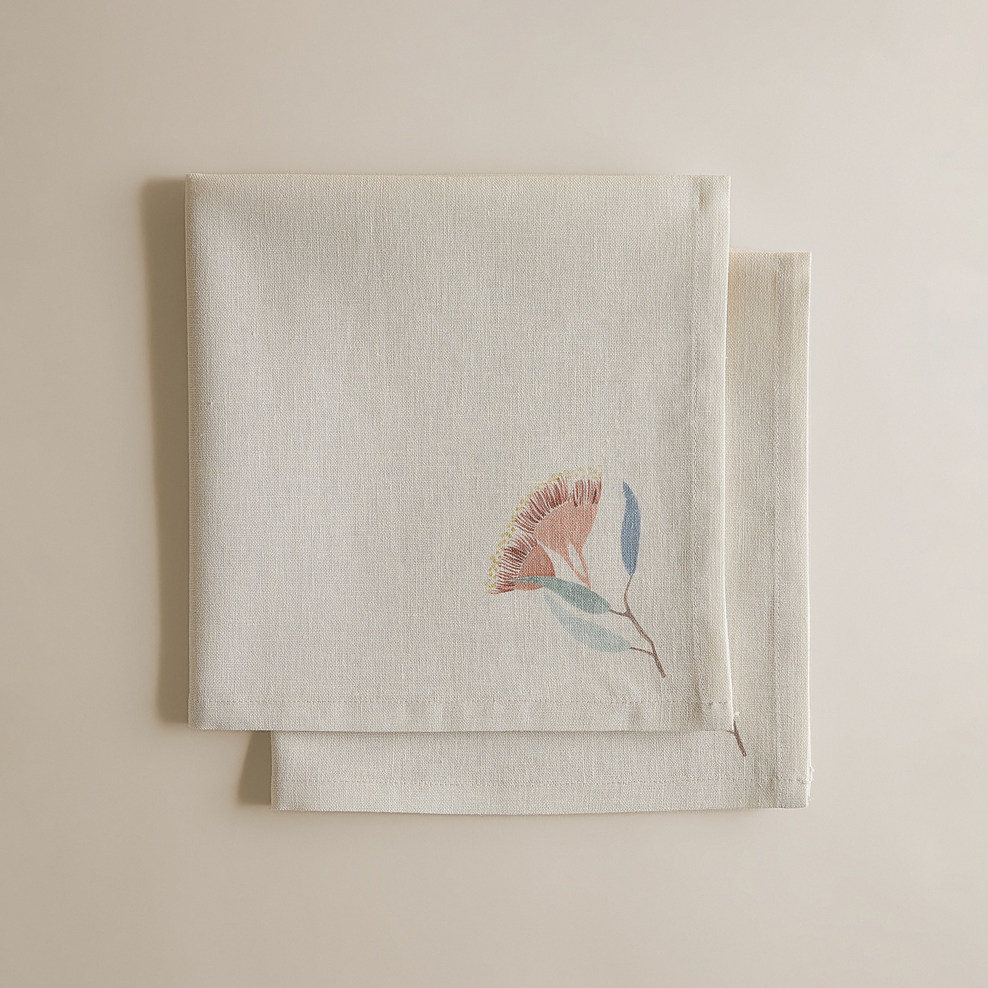 Conjunto de 2 Guardanapos de Linho e Algodão Eucali Multicolor-3