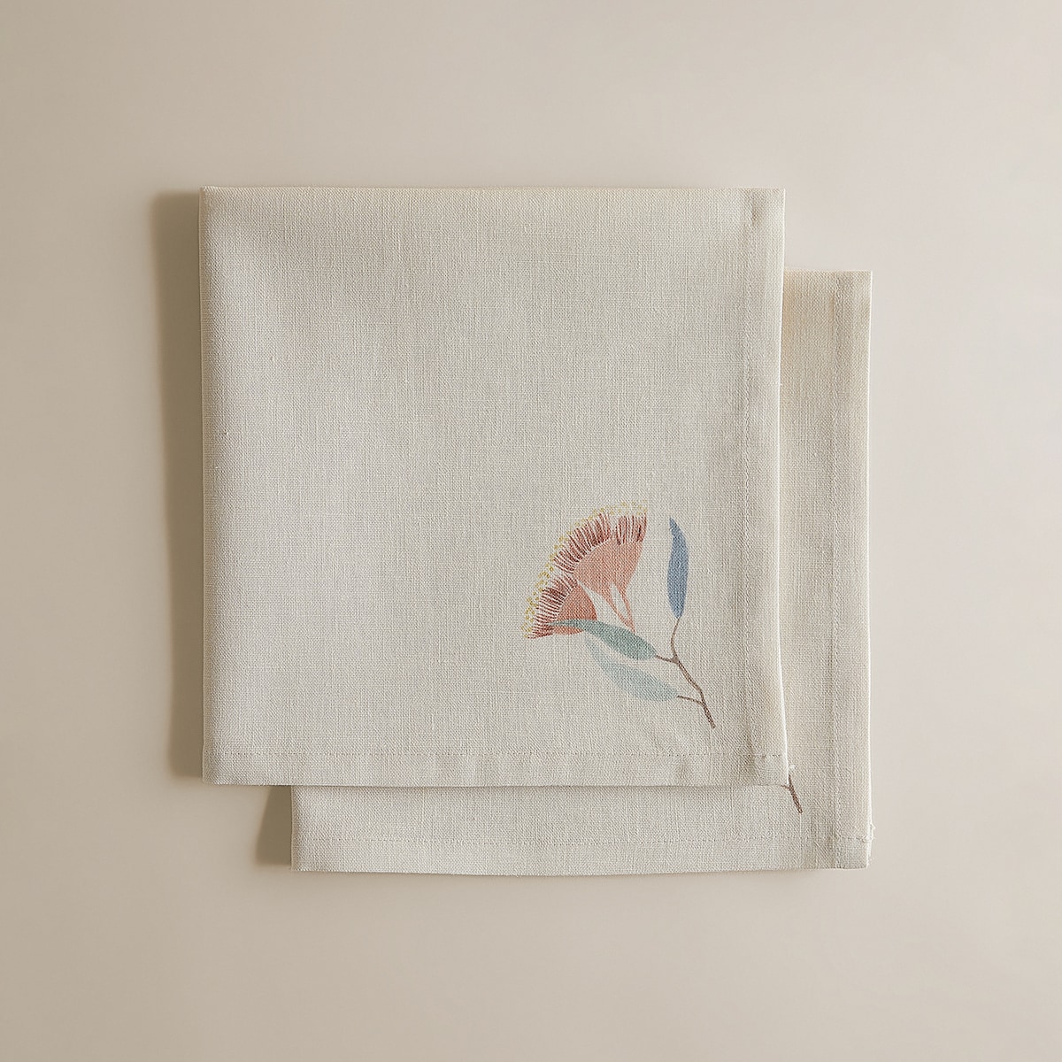 Conjunto de 2 Guardanapos de Linho e Algodão Eucali Multicolor-3