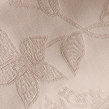 Beige Beige