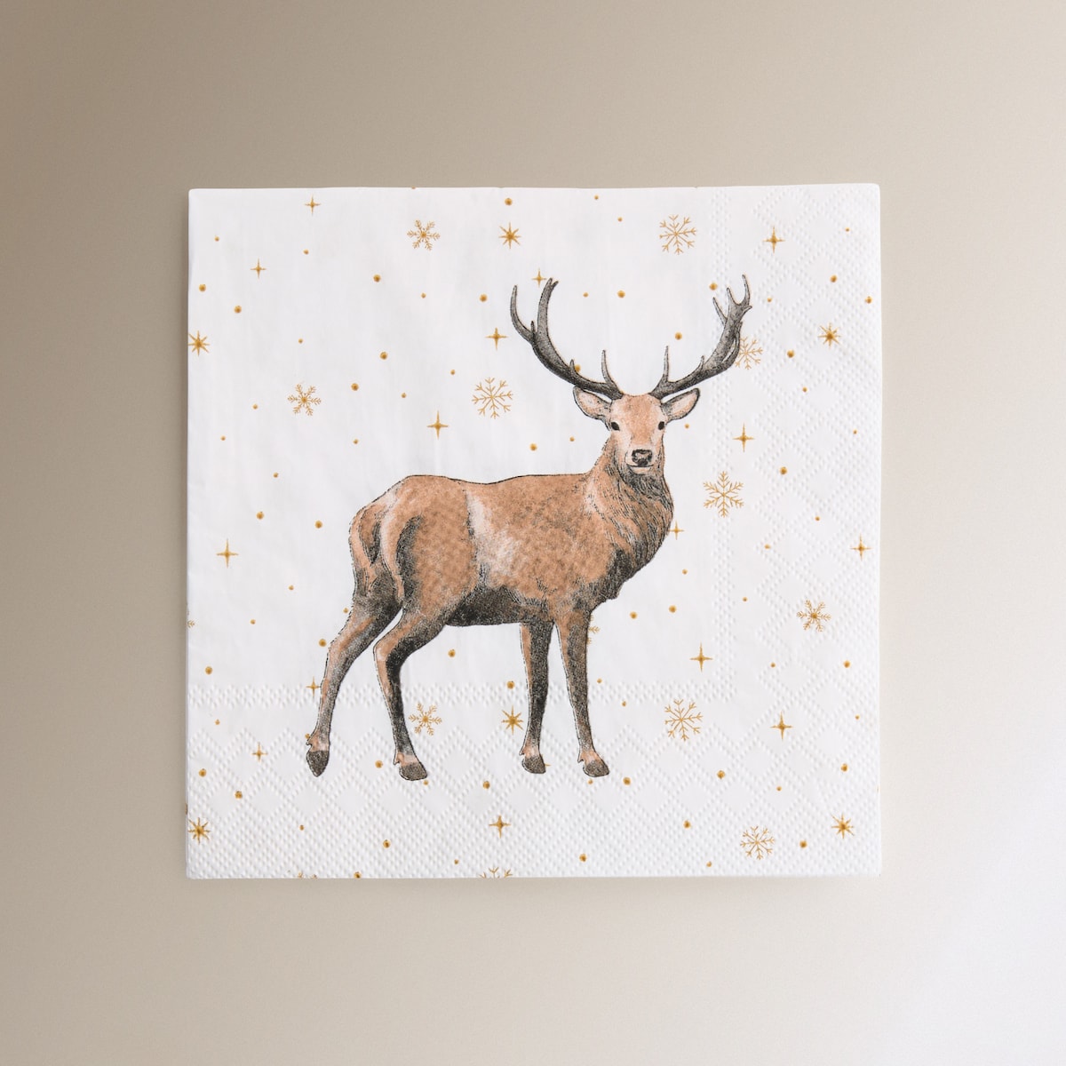 Pack de 20 Guardanapos de Papel Bosque Branco-1