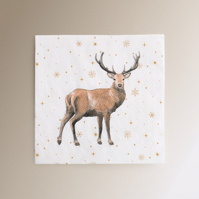 Imagem 0 de Pack de 20 Guardanapos de Papel Bosque