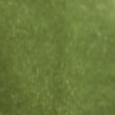 Verde Verde