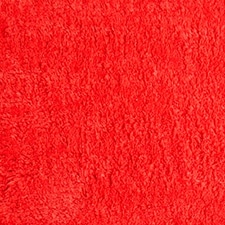 Coral Coral