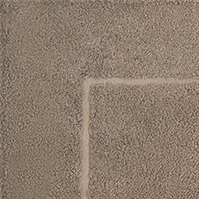 Taupe Taupe