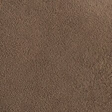 Taupe Taupe