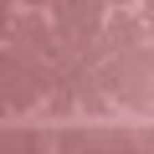 Rosa Rosa