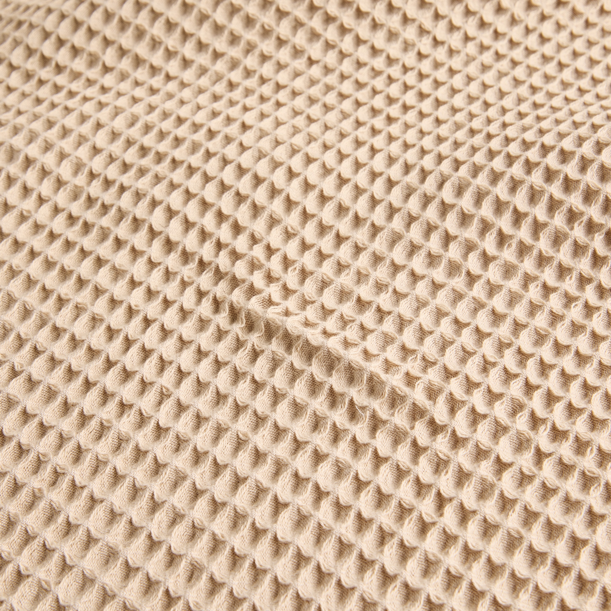 Set de 2 toallas algodón 320 gr/m2 Spa - Beige Tocador Beige-4