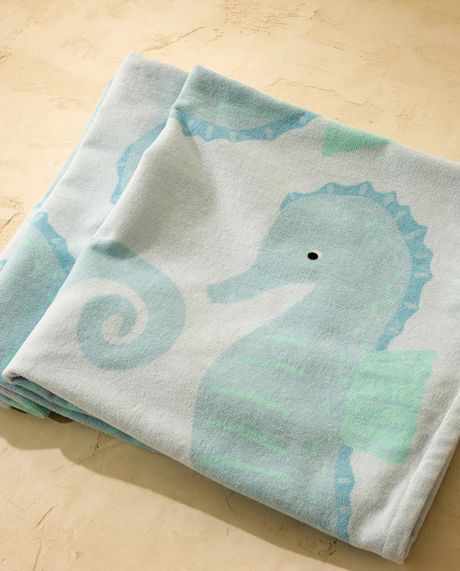 Imagem 0 de Toalha de Praia de Algodão Cavalinhos