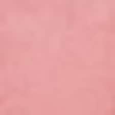 Rosa Rosa