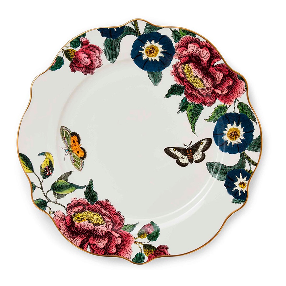 Prato Raso Creatures of Curiosity Multicolor-1