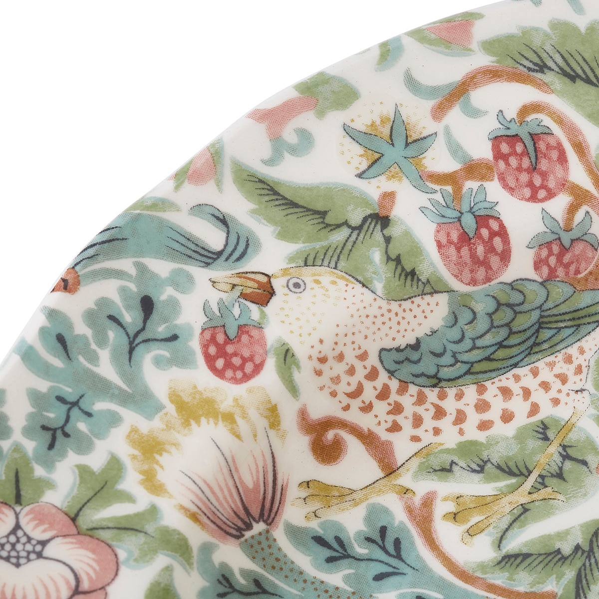 Prato Raso Morris & Co Multicolor-7