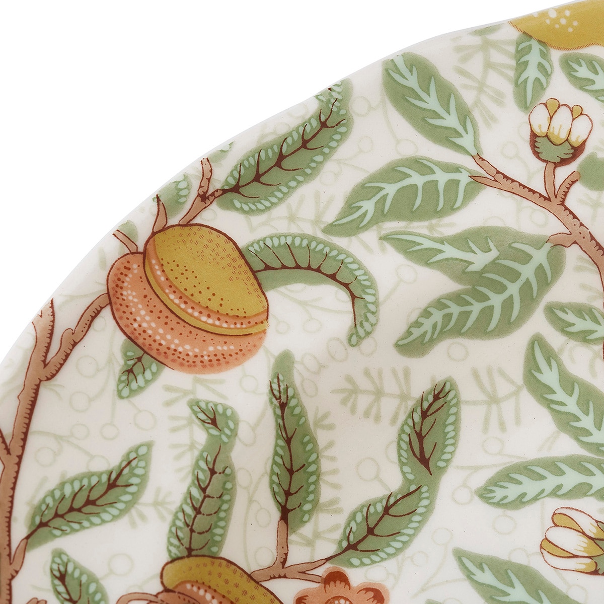 Prato Raso Morris & Co Multicolor-8