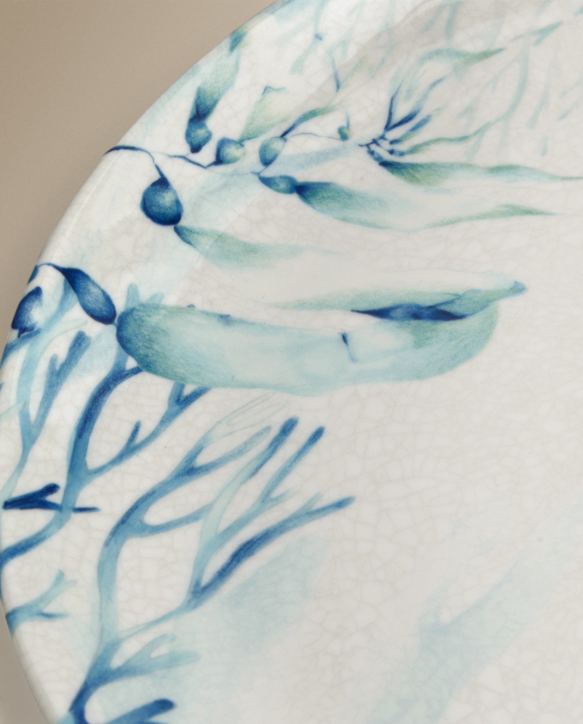 Prato Raso de Melamina Figueira Multicolor-2